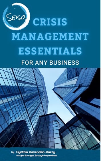Strategic Preparedness eBook thumbnail